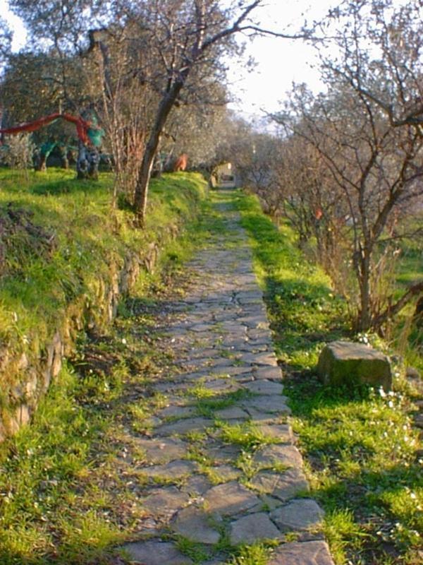 Agriturismo Il Vecchio Casale Casa de hóspedes Vatolla Exterior foto