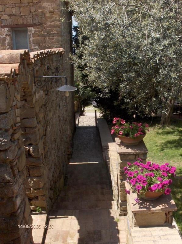 Agriturismo Il Vecchio Casale Casa de hóspedes Vatolla Exterior foto